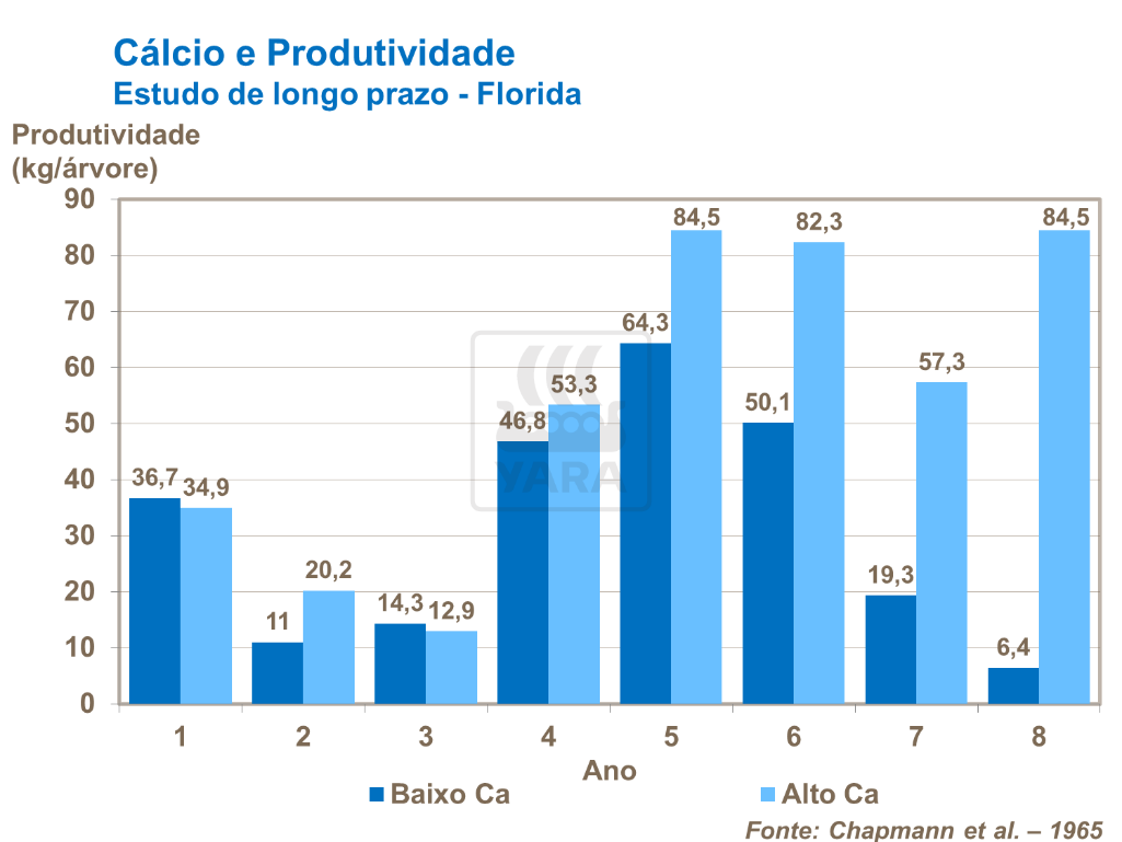 Nitrato de cálcio e produtividade