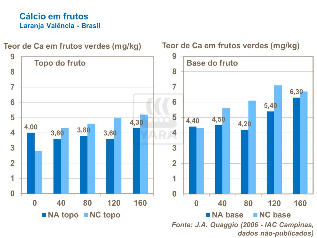 Cálcio em frutas