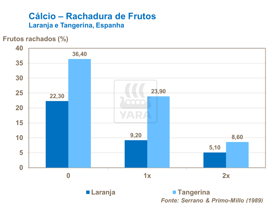 Pulverizações foliares de Cálcio e rachaduras