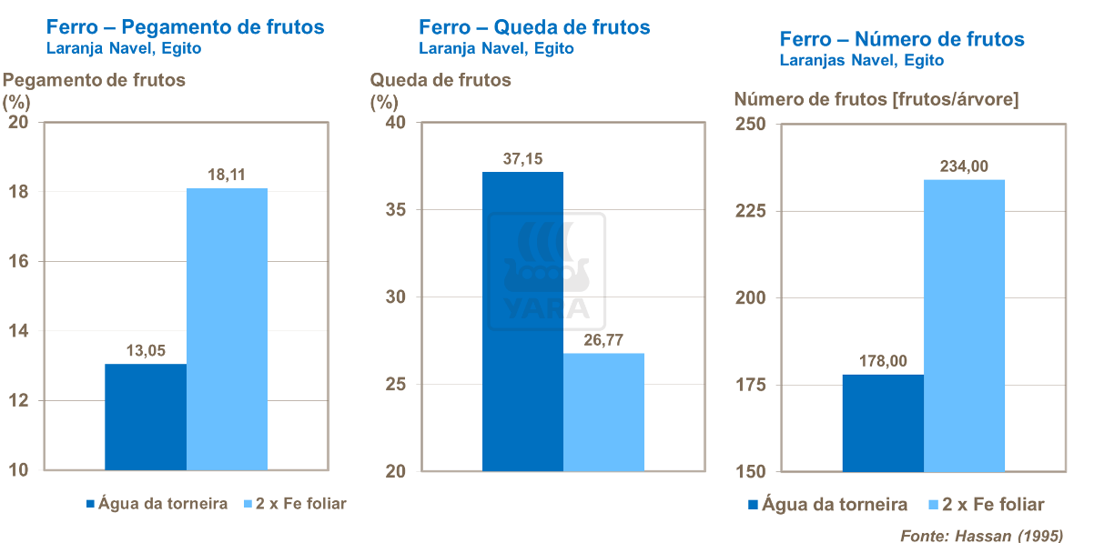 Ferro e rendimento