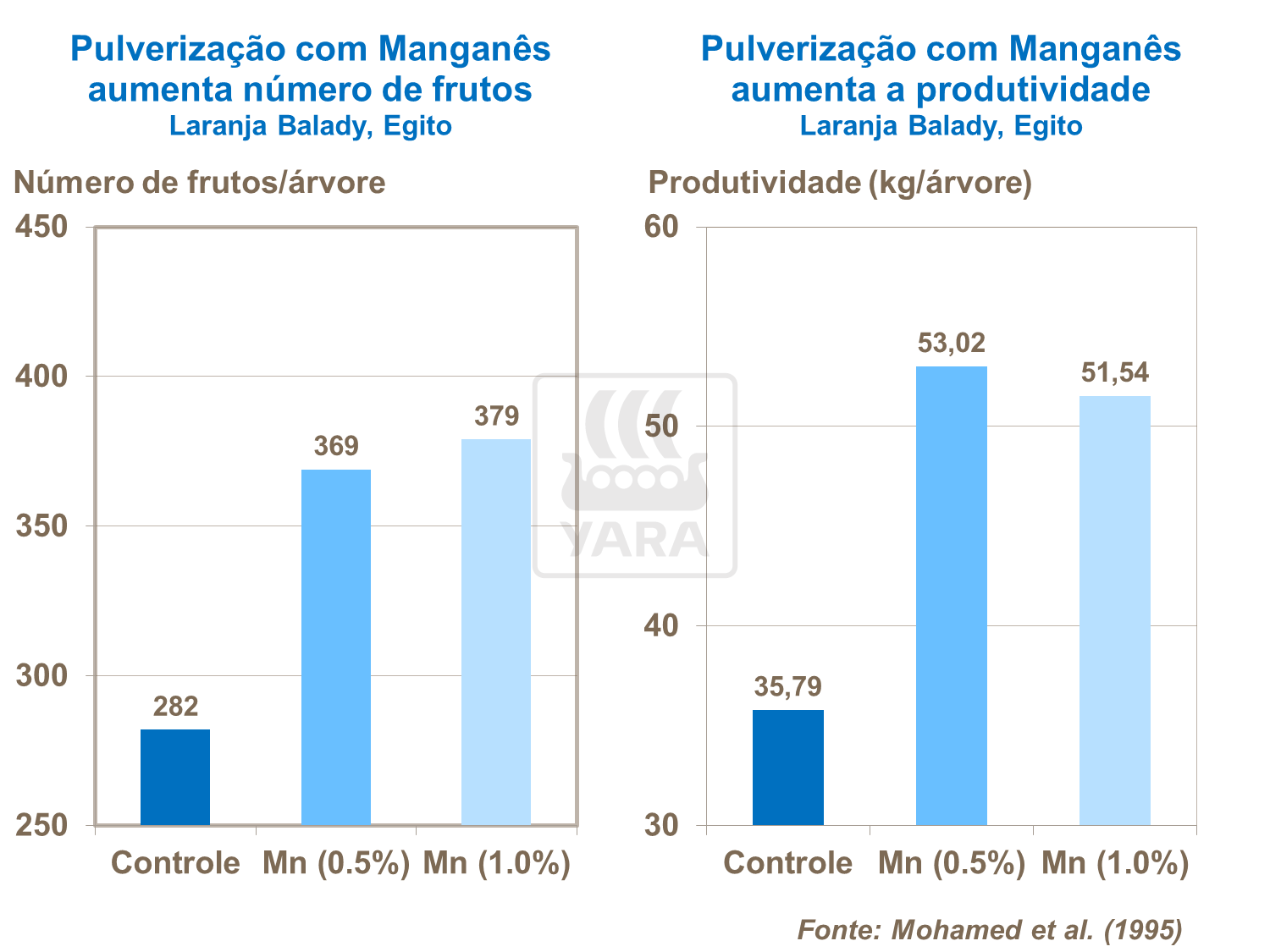 Manganês e Número de Frutas