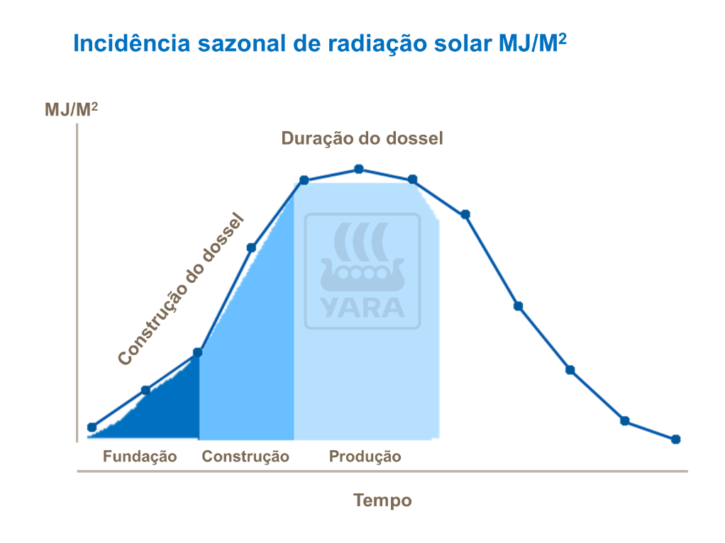 yara, fertilizante, trigo