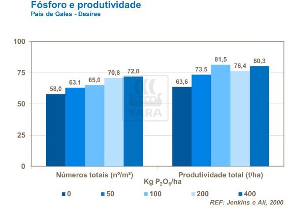 yara, fertilizante, batatas