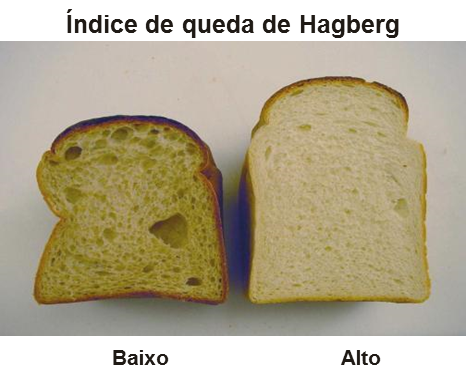Indice de caída de Hagberg