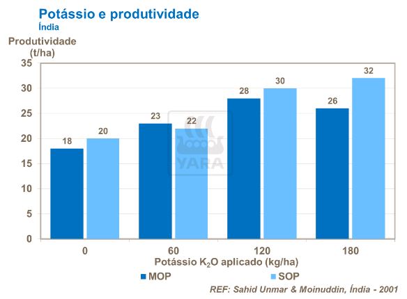 yara, fertilizante, batatas