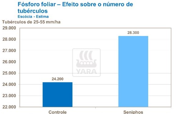yara, fertilizante, batatas