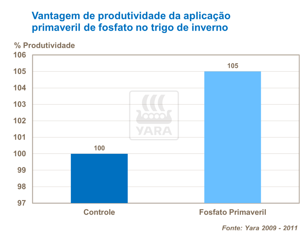 yara, fertilizante, batatas
