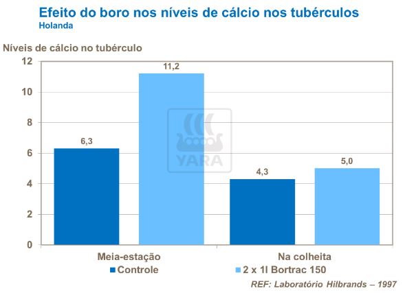 yara, fertilizante, batatas