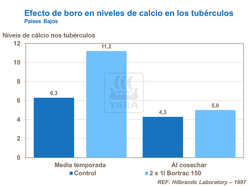 patatas, abono, abonos